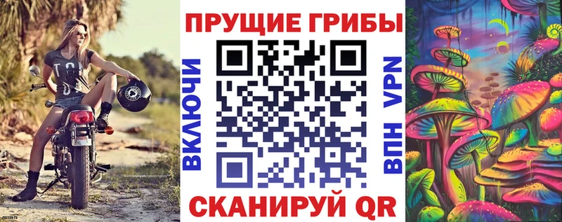 Псилоцибиновые грибы GOLDEN TEACHER  Алапаевск 