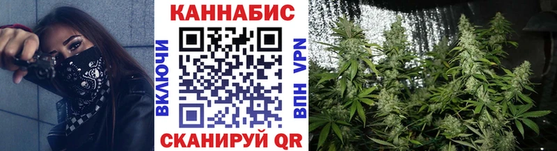 купить наркотик  Алапаевск  мега сайт  Каннабис ГИДРОПОН 